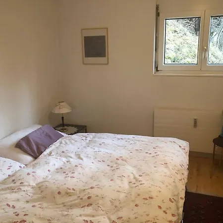 Laerchenwald 401 Apartment