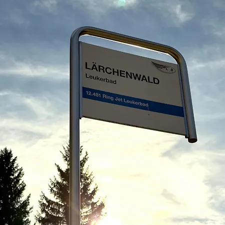 Laerchenwald 401