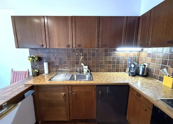 公寓 Laerchenwald 401 洛伊克巴德